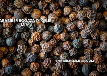 Karabiber Boğaza İyi Gelir mi?