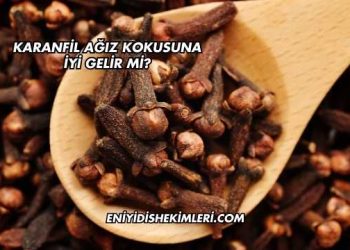 Karanfil Ağız Kokusuna İyi Gelir mi?