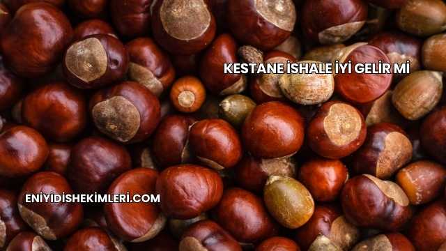 Kestane İshale İyi Gelir mi