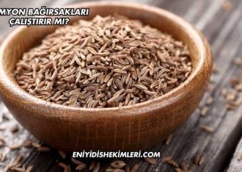 Kimyon Bağırsakları Çalıştırır mı?