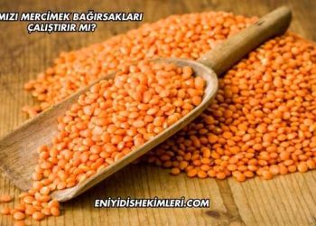 Kırmızı Mercimek Bağırsakları Çalıştırır mı?