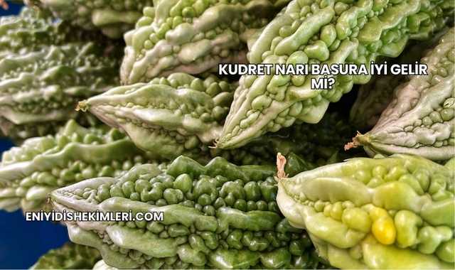 Kudret Narı Basura İyi Gelir mi?
