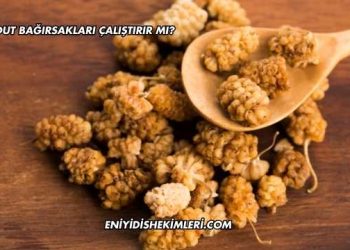 Kuru Dut Bağırsakları Çalıştırır mı?