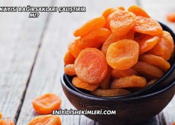 Kuru Kayısı Bağırsakları Çalıştırır mı?