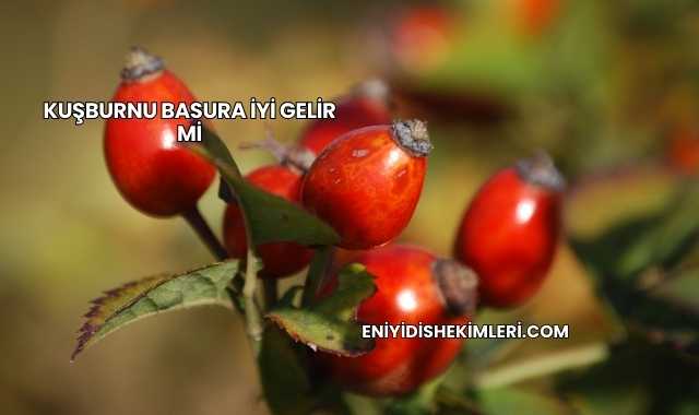 Kuşburnu Basura İyi Gelir mi