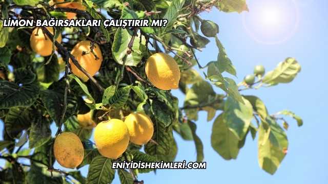 Limon Bağırsakları Çalıştırır mı?
