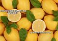 Limon Kireçlenmeye İyi Gelir mi?
