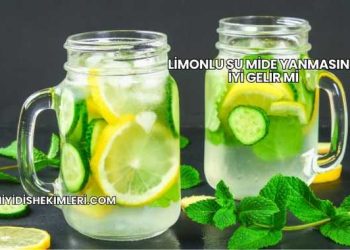 Limonlu Su Mide Yanmasına İyi Gelir mi?