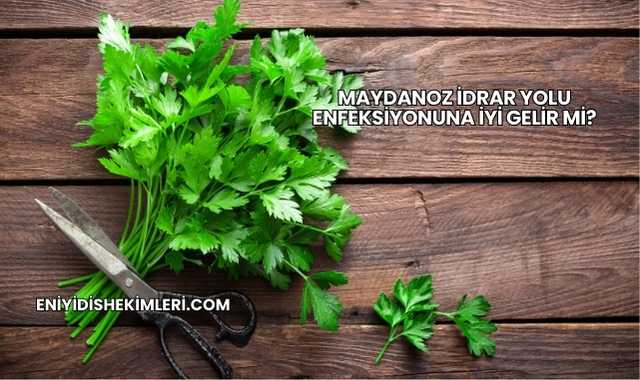Maydanoz İdrar Yolu Enfeksiyonuna İyi Gelir mi?