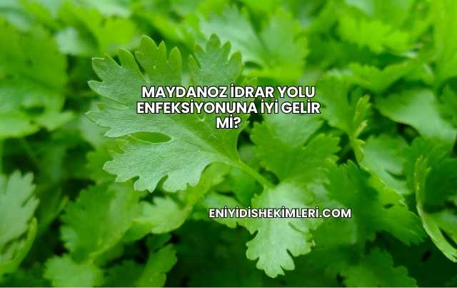 Maydanoz İdrar Yolu Enfeksiyonuna İyi Gelir mi?