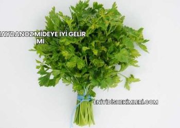 Maydanoz Mideye İyi Gelir mi