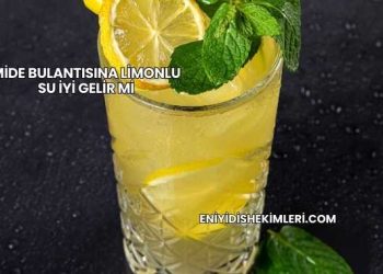 Mide Bulantısına Limonlu Su İyi Gelir mi
