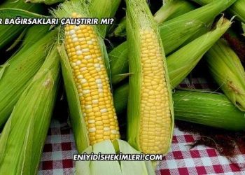 Mısır Bağırsakları Çalıştırır mı?