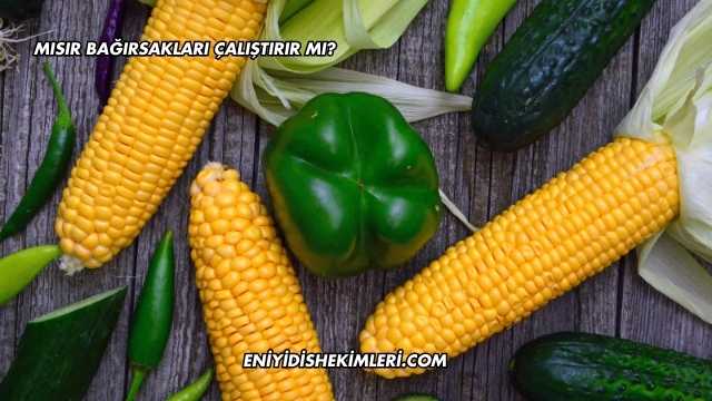 Mısır Bağırsakları Çalıştırır mı?