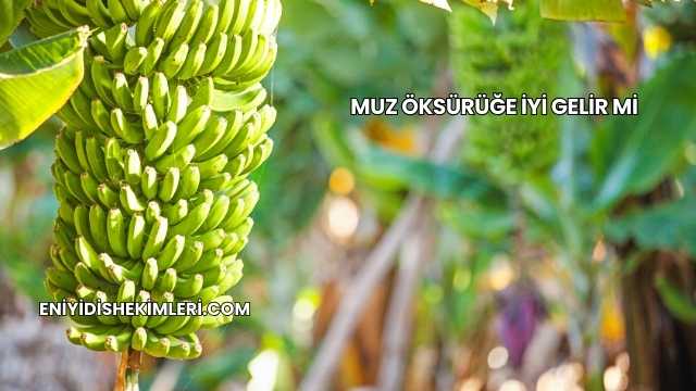 Muz Öksürüğe İyi Gelir mi