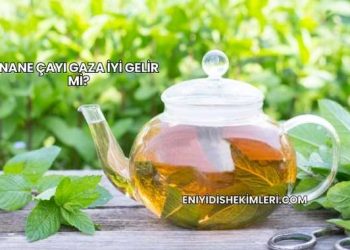 Nane Çayı Gaza İyi Gelir mi?