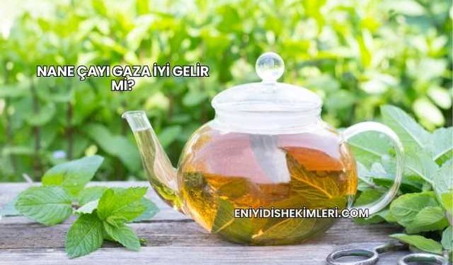 Nane Çayı Gaza İyi Gelir mi?