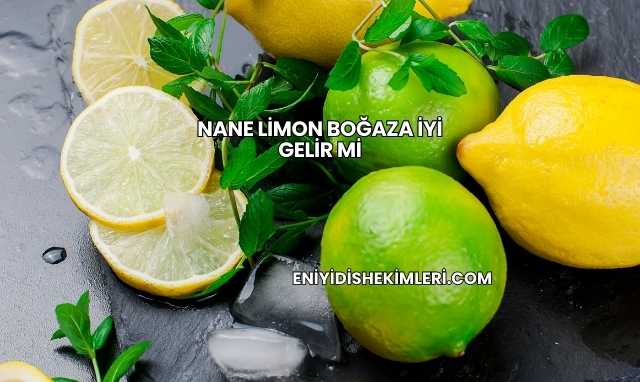 Nane Limon Boğaza İyi Gelir mi
