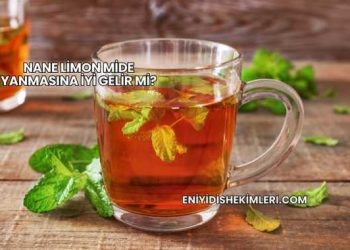 Nane Limon Mide Yanmasına İyi Gelir mi?