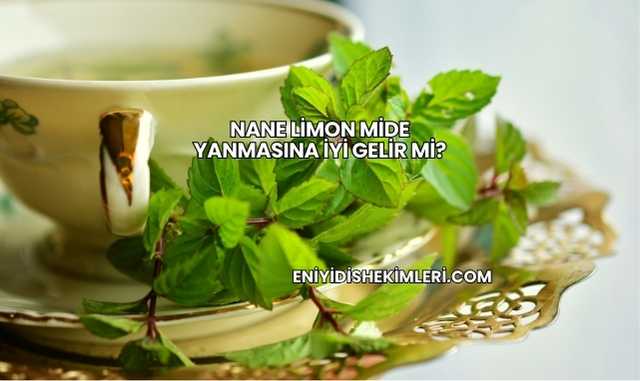Nane Limon Mide Yanmasına İyi Gelir mi?