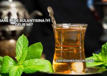 Nane Mide Bulantısına İyi Gelir mi?