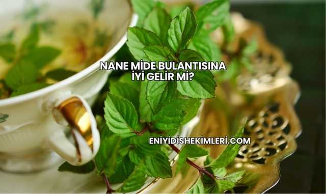 Nane Mide Bulantısına İyi Gelir mi?