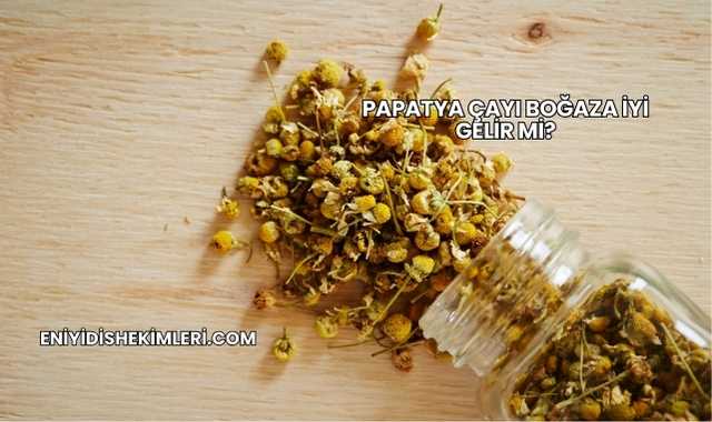 Papatya Çayı Boğaza İyi Gelir mi?