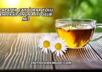 Papatya Çayı İdrar Yolu Enfeksiyonuna İyi Gelir mi?