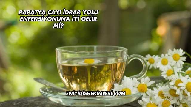 Papatya Çayı İdrar Yolu Enfeksiyonuna İyi Gelir mi?