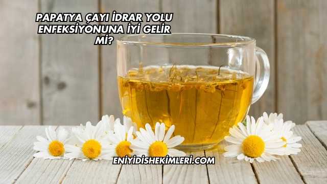 Papatya Çayı İdrar Yolu Enfeksiyonuna İyi Gelir mi?