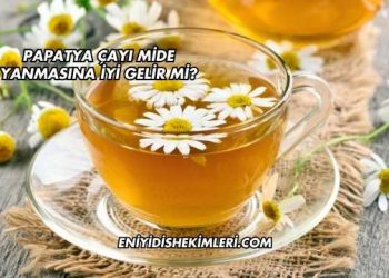 Papatya Çayı Mide Yanmasına İyi Gelir mi?