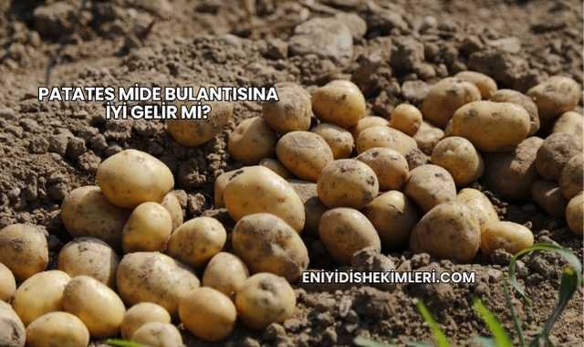 Patates Mide Bulantısına İyi Gelir mi?