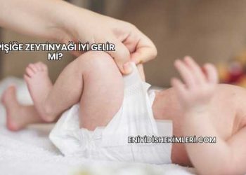 Pişiğe Zeytinyağı İyi Gelir mi?