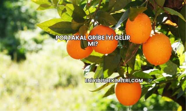 Portakal Gribe İyi Gelir mi?