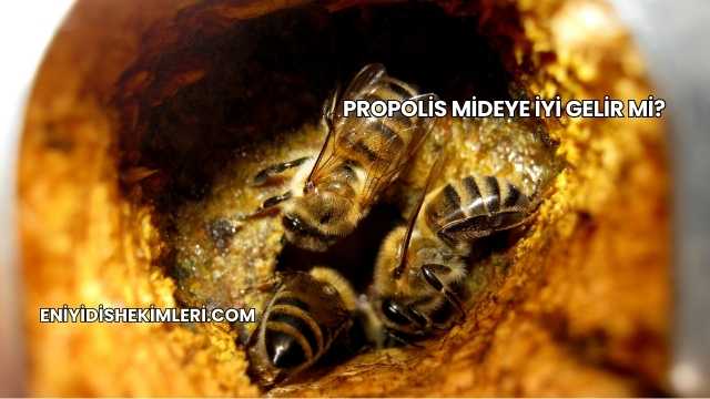 Propolis Mideye İyi Gelir mi?