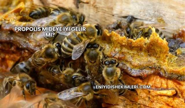 Propolis Mideye İyi Gelir mi?