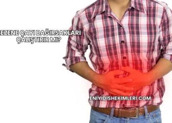 Rezene Çayı Bağırsakları Çalıştırır mı?