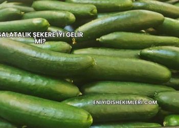 Salatalık Şekere İyi Gelir mi?