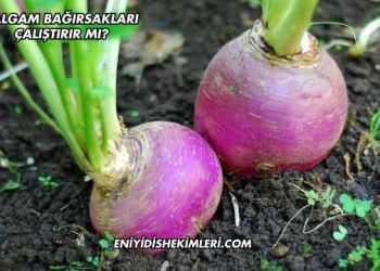 Şalgam Bağırsakları Çalıştırır mı?