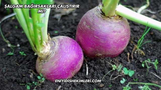 Şalgam Bağırsakları Çalıştırır mı?