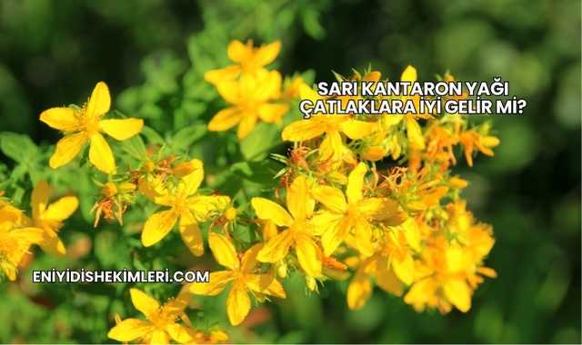 Sarı Kantaron Yağı Çatlaklara İyi Gelir mi?