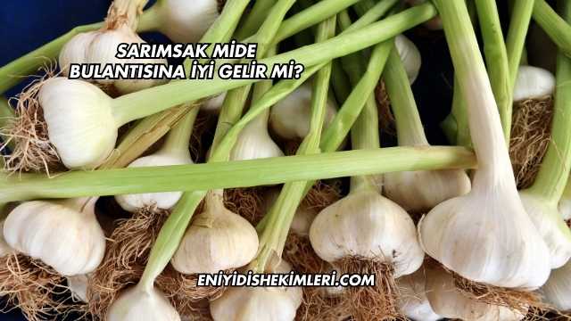 Sarımsak Mide Bulantısına İyi Gelir mi?