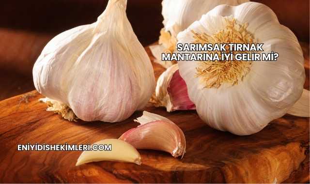 Sarımsak Tırnak Mantarına İyi Gelir mi?