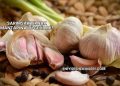 Sarımsak Tırnak Mantarına İyi Gelir mi?