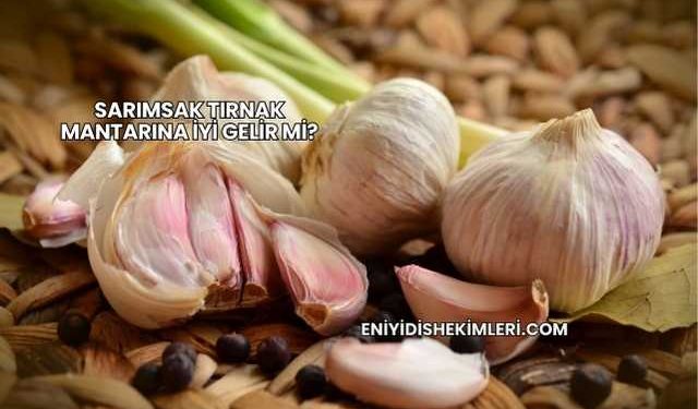 Sarımsak Tırnak Mantarına İyi Gelir mi?