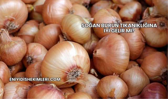 Soğan Burun Tıkanıklığına İyi Gelir mi?