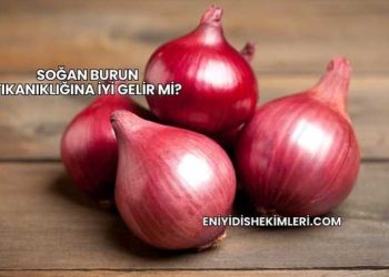 Soğan Burun Tıkanıklığına İyi Gelir mi?