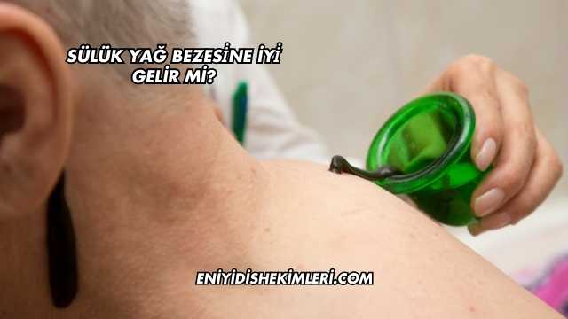 Sülük Yağ Bezesi̇ne İyi̇ Gelir mi?