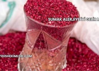 Sumak Alerjiye İyi Gelir mi?