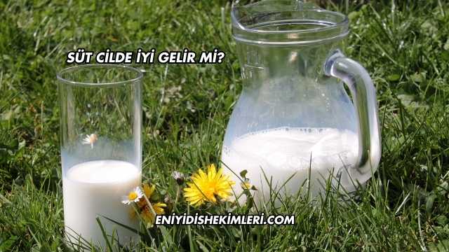 Süt Cilde İyi Gelir mi?